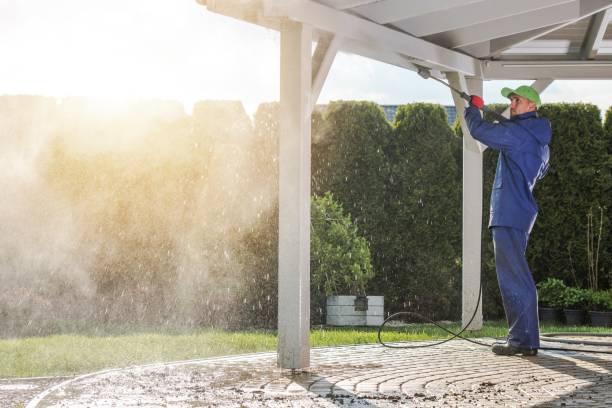 Best Solar Panel Cleaning  in Tlassee, AL