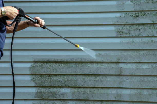 Best Graffiti Removal  in Tlassee, AL