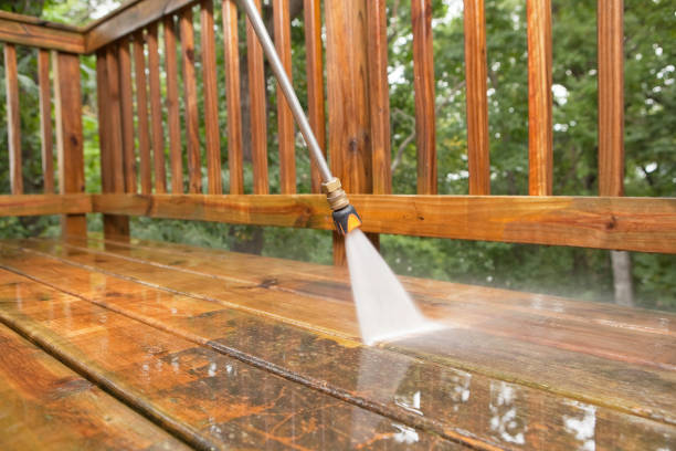 Best Residential Exterior Washing  in Tlassee, AL